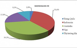 Than đá nhập khẩu tăng chóng mặt gần 12 triệu tấn