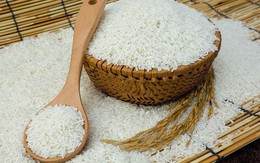 Hạn ngạch nhập khẩu gạo từ Campuchia năm nay là 300.000 tấn