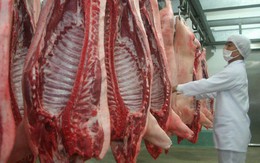 Giá thịt lợn tại Trung Quốc có thể tăng tới 40 - 70% trong 6 tháng cuối năm