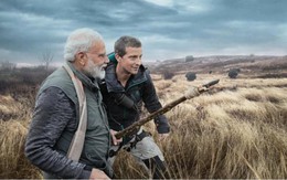 Sau ông Obama, Thủ tướng Ấn Độ theo chân Bear Grylls thử sinh tồn trong vùng hoang dã