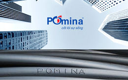 Thép Pomina tiếp tục báo lỗ 49 tỷ đồng trong quý 2