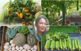 Sở hữu sân thượng rộng đến 200m², mẹ đảm ở Sài Gòn khiến nhiều người bất ngờ với "trang trại" rau quả tự trồng