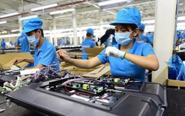 Con số này cho thấy bất chấp căng thẳng thương mại Mỹ - Trung, các nhà sản xuất Việt Nam vẫn thành công