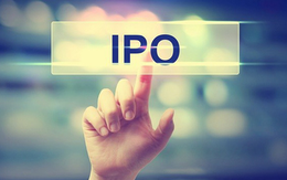 IPO ế ẩm, cổ phiếu Tập đoàn Cao su, Becamex, Sonadezi lại 'dậy sóng' khi lên UPCoM