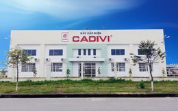 Lãi 242 tỷ đồng nửa đầu năm, Cadivi (CAV) chuẩn bị chi trả cổ tức bằng tiền mặt tỷ lệ 25%