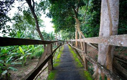 Báo quốc tế nói gì về vườn quốc gia Cát Tiên?