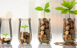 Nếu chưa tìm hiểu nguyên tắc 4M, hãy cân nhắc về việc đầu tư của bạn!