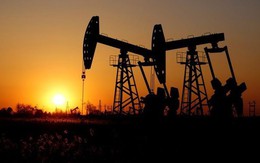 Thị trường dầu đang vật lộn với dư thừa cung, Mỹ "đổ thêm dầu vào lửa"