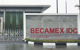 Becamex (BCM) giảm hơn trăm tỷ lợi nhuận sau soát xét