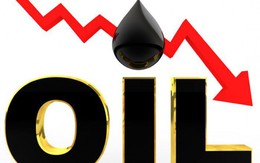 Bank of America: Giá dầu thô có thể về 30 USD nếu Trung Quốc mua của Iran