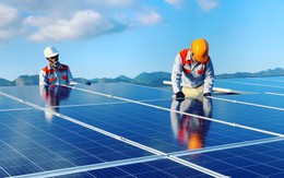FECON báo lãi 113 tỷ đồng 6 tháng đầu năm 2019 nhờ bán Dự án điện mặt trời Vĩnh Hảo 6