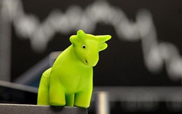 Dòng tiền bắt đáy đổ mạnh vào thị trường, VN-Index bứt phá hơn 9 điểm trong phiên chiều