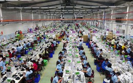 Khen giá nhân công rẻ, doanh nghiệp Nhật đặt nhà máy tại Việt Nam, công suất lớn hơn nhà máy ở Trung Quốc
