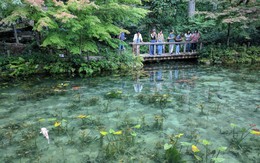 Hồ Nhật Bản đẹp như tranh sơn dầu của Monet: 20 năm trước vô danh, không ai biết đến, giờ thành địa điểm hút khách bậc nhất xứ hoa anh đào