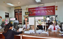 Agribank chuẩn bị phát hành 5.000 tỷ đồng trái phiếu, lãi suất kỳ đầu tiên 8,1%/năm
