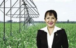"Nữ hoàng mía đường" Huỳnh Bích Ngọc chi thêm 500 tỷ đồng mua cổ phiếu SBT