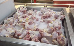 Thịt gà nhập khẩu vào Việt Nam được kiểm soát chặt chẽ