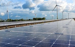 Trung Nam huy động thành công 3.045 tỷ đồng trái phiếu cho dự án điện mặt trời