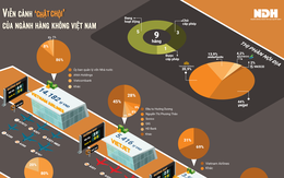 Viễn cảnh ‘chật chội’ của ngành hàng không Việt Nam
