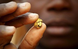 Tổng thống Ghana sợ Trung Quốc "đào trộm" vàng
