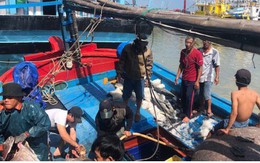Đầu năm, ngư dân Phú Yên trúng đậm cá ngừ
