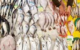 Việt Nam chi 1,72 tỷ USD nhập khẩu thủy sản trong năm 2018