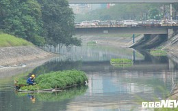 Sau 4 năm thả bè thủy trúc, nước sông Tô Lịch giờ ra sao?