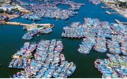 Ngắm âu thuyền, cảng cá Thọ Quang từ trên cao
