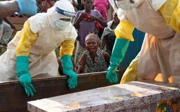 Dịch Ebola tái bùng phát, hơn 500 người tử vong ở Congo