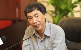 TS Võ Trí Thành: Kinh tế Việt Nam 2019 pha trộn màu xám và hồng