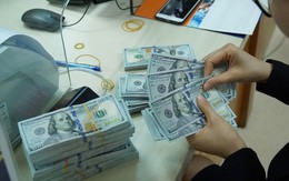 Doanh nghiệp Việt đầu tư 1,25 triệu USD ra nước ngoài trong tháng 1/2019