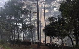Hàng trăm người đang dập đám cháy rừng trên đèo Prenn ở Lâm Đồng