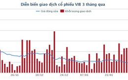 Chứng khoán Yuanta dự báo năm 2019 lợi nhuận của VIB tăng 15% - 20%