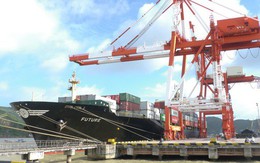 Báo cáo Thủ tướng kết quả thực hiện kết luận thanh tra cảng Quy Nhơn