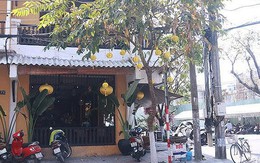 'Đường đi' của những cơ sở nhà đất sai phạm ở Đà Nẵng