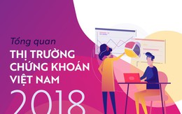 [Infographic] Những con số đáng tự hào của TTCK Việt Nam
