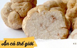 Nấm truffles: nguyên liệu được xưng tụng là "thần thánh" của các nhà hàng hạng sang, có giá lên đến 1 tỷ cho khoảng 2kg