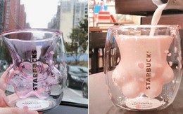 Cốc chân mèo Starbucks khiến giới trẻ Trung Quốc phát cuồng, bán lại 10 triệu vẫn thi nhau mua