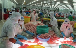 Bộ Công thương cảnh báo 'thách thức mới' với hàng Việt Nam xuất khẩu