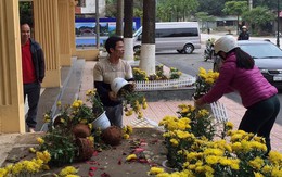 Phản cảm cảnh 'tranh cướp' hoa trang trí ở ga Đồng Đăng