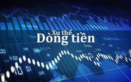 Xu thế dòng tiền: Ngưỡng 1.000 điểm vì sao đáng sợ đến thế?