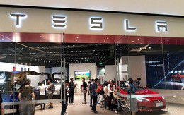 Tesla bất ngờ đổi ý, sẽ không đóng cửa các showroom nhưng tăng giá bán xe thêm 3% trên toàn cầu
