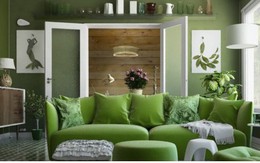 Phòng khách có màu xanh lá cây tạo cảm giác gần gũi với thiên nhiên