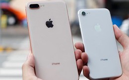 Kém thu hút, iPhone 8 ế ẩm, nhiều siêu thị ngưng kinh doanh