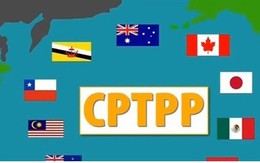 CPTPP: Từ góc nhìn an ninh-quốc phòng