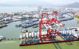 Sắp bị thu hồi, cảng Quy Nhơn bất ngờ đề xuất tăng vốn điều lệ