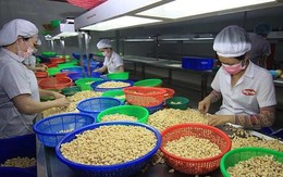 Chuyên gia châu Âu 'mách nước' cho nông sản Việt
