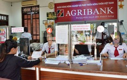 Khoản vay 708 tỷ đồng, Agribank phát giá khởi điểm chỉ phân nửa