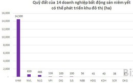 Top 5 doanh nghiệp bất động sản sở hữu quỹ đất ở lớn nhất, họ là ai?