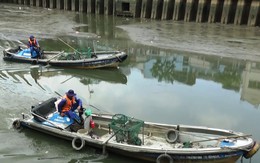 Cá lại chết nổi trắng kênh Nhiêu Lộc - Thị Nghè sau mưa